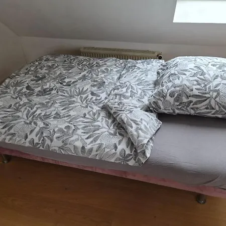 Apartamento For 1-2 People With Rhine View