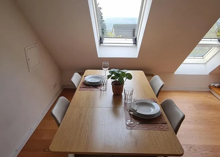 公寓 For 1-2 People With Rhine View *