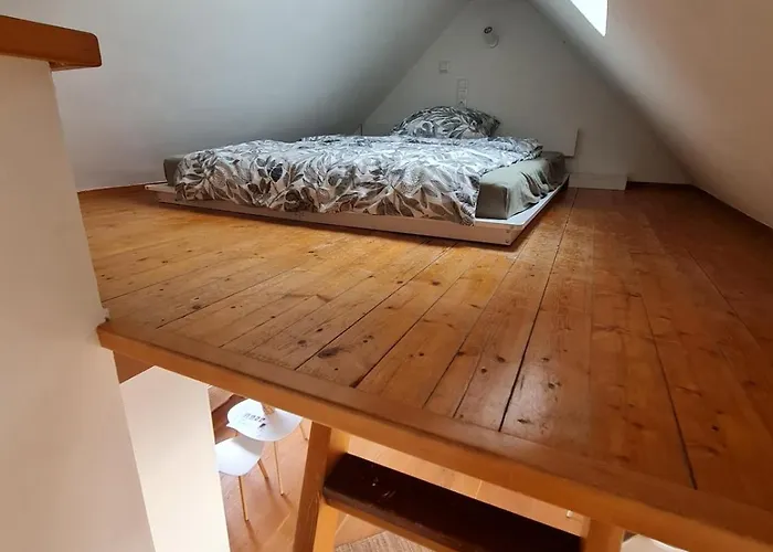 公寓 For 1-2 People With Rhine View 吕德斯海姆