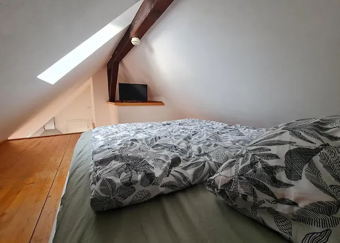 公寓 For 1-2 People With Rhine View