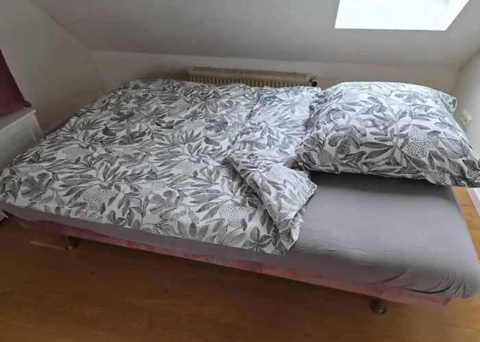 公寓 For 1-2 People With Rhine View