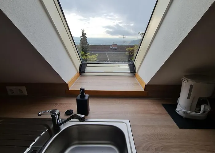 公寓 For 1-2 People With Rhine View